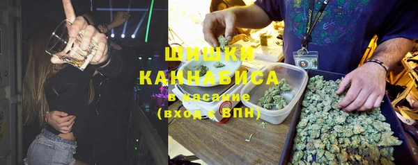 соль ск Алексеевка