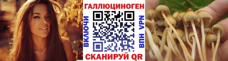 Псилоцибиновые грибы мухоморы  Саранск 